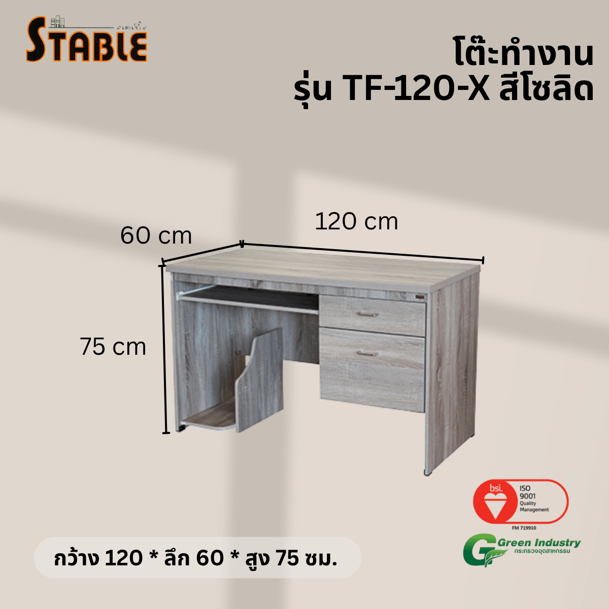 โต๊ะคอมพิวเตอร์ STABLE รุ่น TF-120-X 120 ซม. สีโซลิด_2